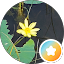 Aleta R. Avatar